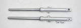 Front Fork Assembly for Suzuki GZ125 HS