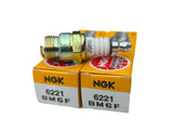 2-Pack Genuine NGK BM6F Spark Plug No. 4322 Lawn Mower Chain Saw Generator Garden