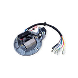 Universal 50cc-125cc horizontal engine 12V 2-coil 5-wire magneto stator plate view 2