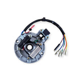 Universal 50cc-125cc horizontal engine 12V 2-coil 5-wire magneto stator plate view 5