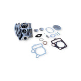 Roketa / SunL / BMS / Coyote 110 1P52FMH style 110cc engine cylinder head assembly