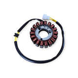 Honda FES150 S-Wing stator generator coil replacement view 2