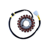 Honda FES150 S-Wing stator generator coil replacement view 3
