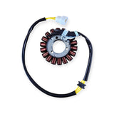 Honda FES150 S-Wing stator generator coil replacement view 5
