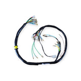 Lifan Pit Bike / Cub Conversion 12V CDI wiring loom harness - product photo 1