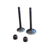 Yamaha AG125 inlet exhaust valve pair 1JP 26mm 22mm