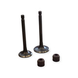 Yamaha AG125 inlet exhaust valve pair 1JP 26mm 22mm product photo 2