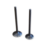 Suzuki DF125 1999-2000 Intake & Exhaust Valve Pair product image 2