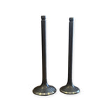 Suzuki DF125 1999-2000 Intake & Exhaust Valve Pair product image 1