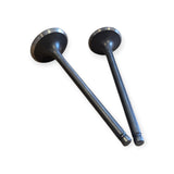 Suzuki DF125 1999-2000 Intake & Exhaust Valve Pair product image 5