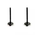 Inlet & Exhaust Valves Lexmoto Titan 125 Euro 5 ZN125T-8F-E5