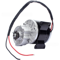 24V 350W Electric Motor 2800RPM Gear Reduction Gear Driven Go Kart