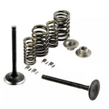 Inlet & Exhaust Valves Springs Collets GY6 125cc 152QMI