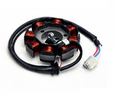 Stator Coils Generator Magneto For Lexmoto LSM 125 LSM 125 STR 12YB