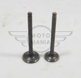 Intake & Exhaust Valves Pair Honda Cub C70 C90 12v