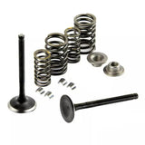 Inlet & Exhaust Valves Springs Collets for Sinnis Eagle 125 Eco City 125 Shuttle 125