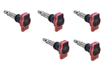 Genuine NGK Ignition Coil 48040 / U5013 5-Pack for Audi A6 2.0L 08 / 2001 - 01 / 2005